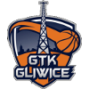格利维采  logo
