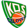 塞洛维茨  logo