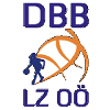 DBB林兹威尔斯女篮  logo