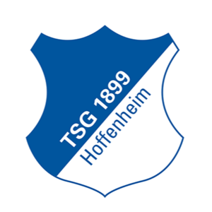 霍芬海姆  logo