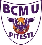 皮特斯蒂 logo